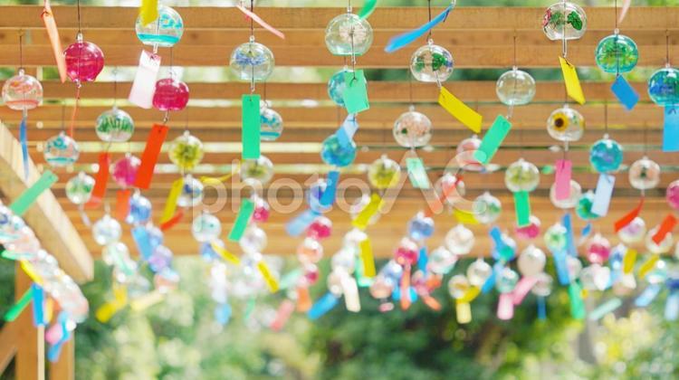 たくさんの風にたなびく風鈴（１） 風鈴,夏,グリーンの写真素材