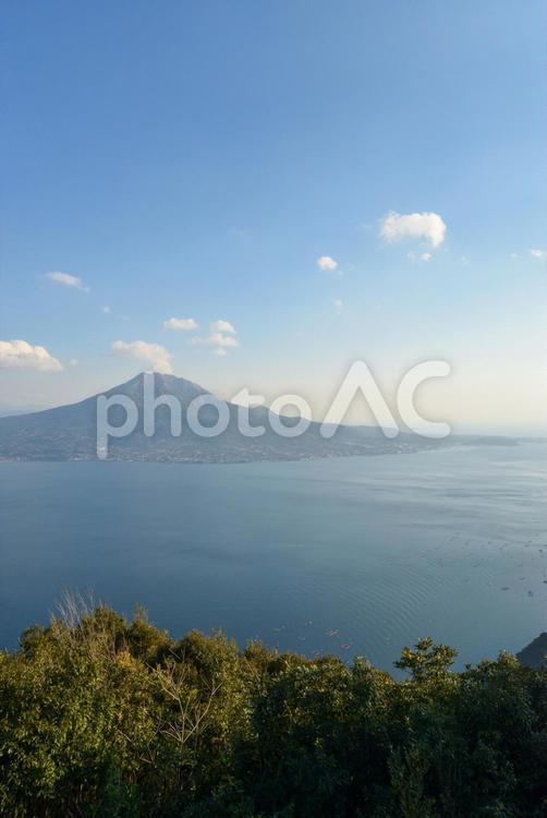 鹿児島県の海（錦江湾）と桜島の眺め縦カット 鹿児島県,桜島,錦江湾の写真素材