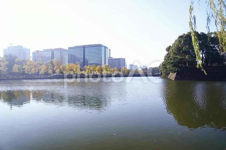 都市の秋の静けさ 秋,都市,水辺の写真素材