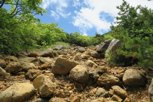 登山道 登山道 緑,新緑,山の写真素材