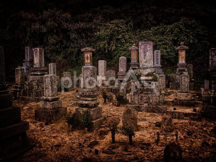 墓場の風景 秋,夏,お盆の写真素材
