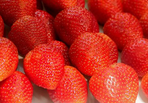 Photo, strawberry, sweet, species, 