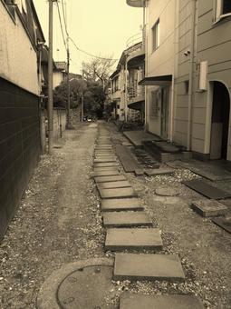 とある散歩道.14 とある散歩道.14の写真