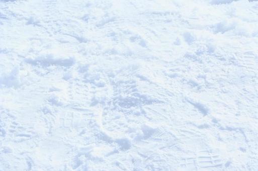 雪 雪の写真