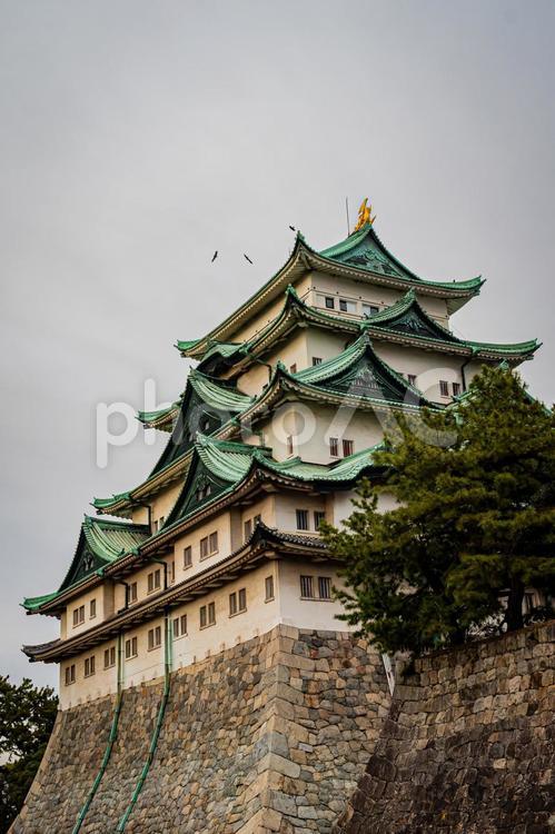 名古屋　名古屋城の風景 名古屋,愛知,愛知県の写真素材