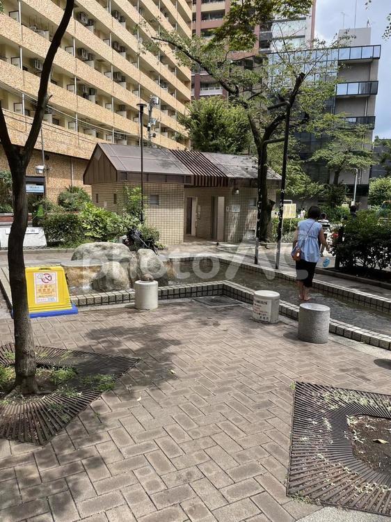 都会の中の小さな公園片隅風景 木々,地面,ほのぼのの写真素材