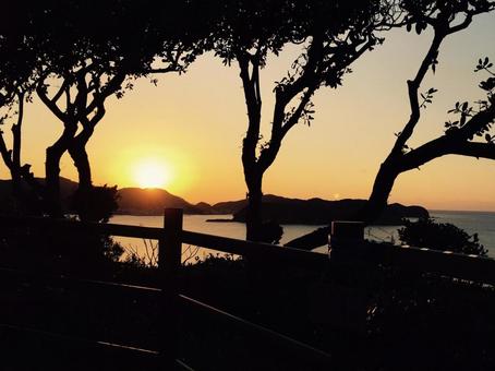 朝焼け 朝焼けの写真