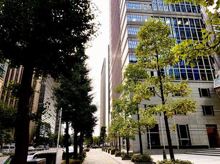 都市の街並 都市の街並の写真