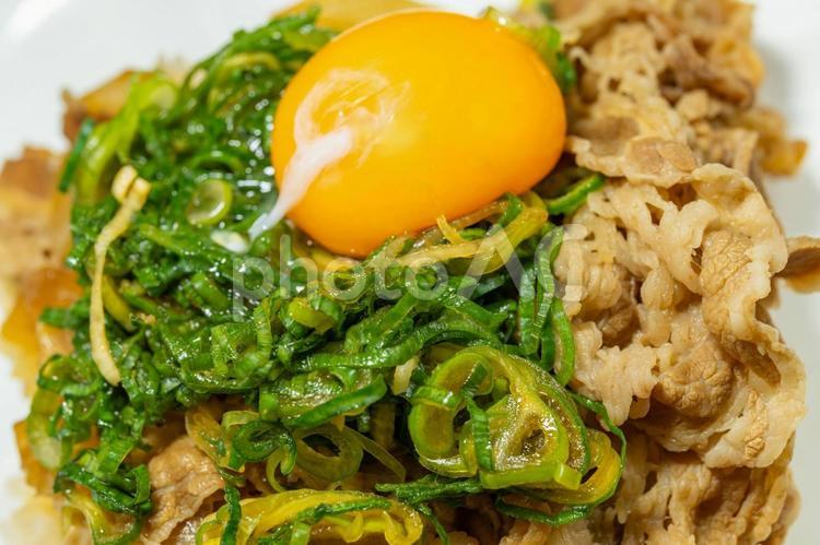 生卵をのせたネギ牛丼 牛丼,牛肉,ネギの写真素材