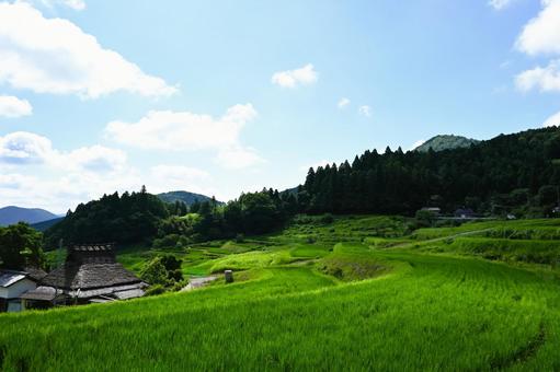 青空と美しい棚田の風景 青空と美しい棚田の風景の写真
