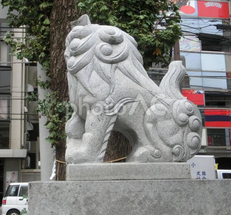 柏神社の風景-6 柏神社,千葉県柏市,天王様の写真素材