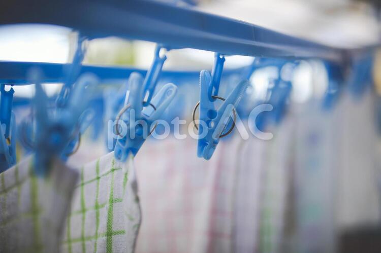 青い洗濯バサミと布巾 洗濯,洗濯バサミ,挟むの写真素材