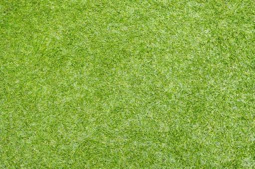 人工芝　アップ　人口芝生　壁紙背景素材 人工芝,人工,芝生の写真素材