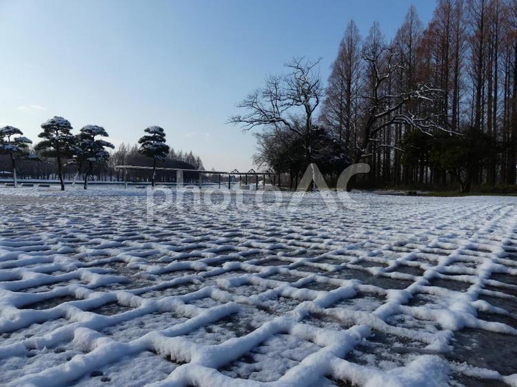 ワッフルを彷彿させる石畳の残雪 雪景色,雪,石畳の残雪の写真素材
