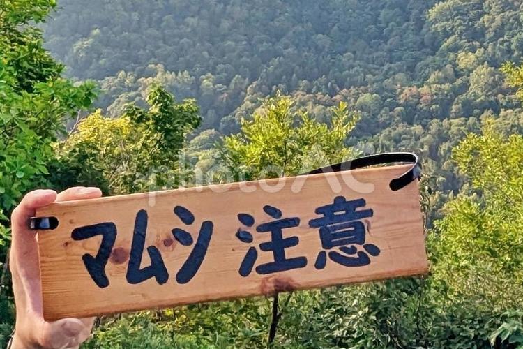 マムシ注意 登山,トレッキング,遠足の写真素材