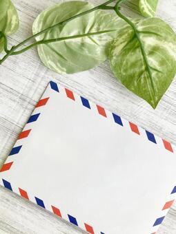 エアメール封筒と植物・手紙・通信・海外 エアメール,封筒,手紙の写真素材