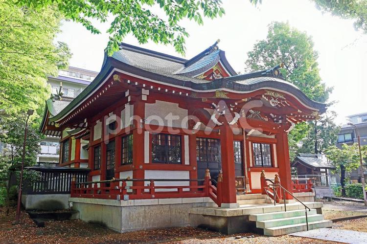 柴崎稲荷神社（調布） 柴崎稲荷神社,倉稲魂命,旧村社の写真素材