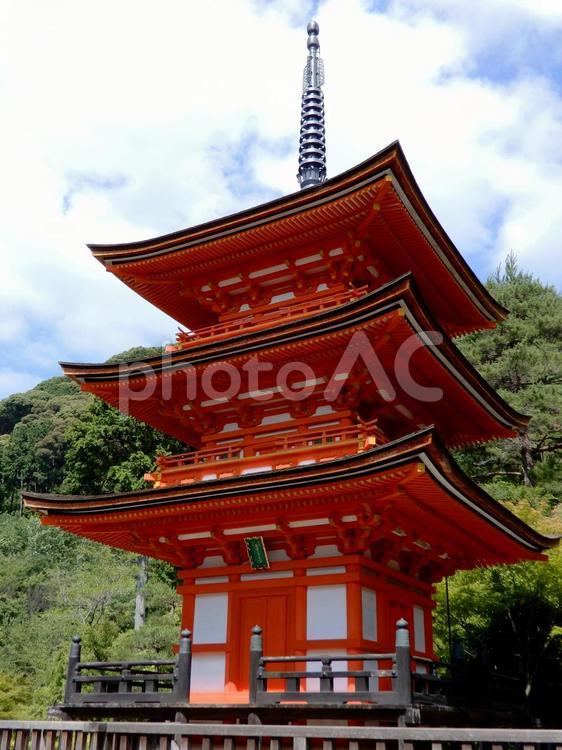 清水寺　三重塔　子安塔 清水寺,子安塔,三重塔の写真素材