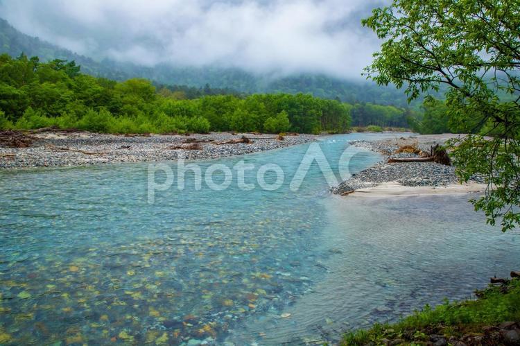 長野県　新緑の上高地　梓川　 上高地,長野,風景の写真素材