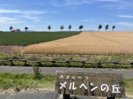 メルヘンの丘03 メルヘンの丘03 メルヘンの丘,北海道,女満別の写真素材