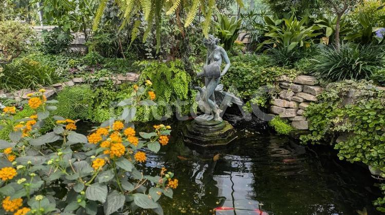 自然豊かな庭園の池の中心に立つ銅像 水,水辺,銅像の写真素材