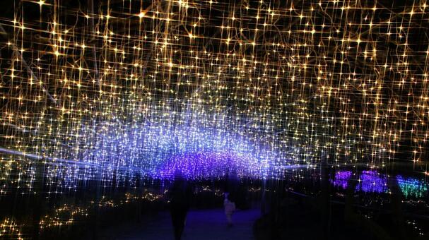 はままつフラワーパーク　イルミネーション イルミネーション,クリスマス,夜景の写真素材
