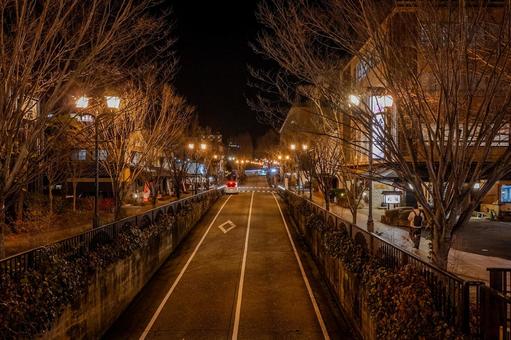 冬の下呂駅周辺の景色 町並み,夜,街灯の写真素材