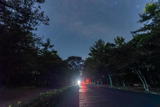 夜の阿波岐原パークウェイ 夜の阿波岐原パークウェイの写真