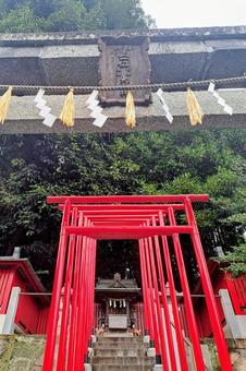 連なる鳥居② 連なる鳥居②の写真