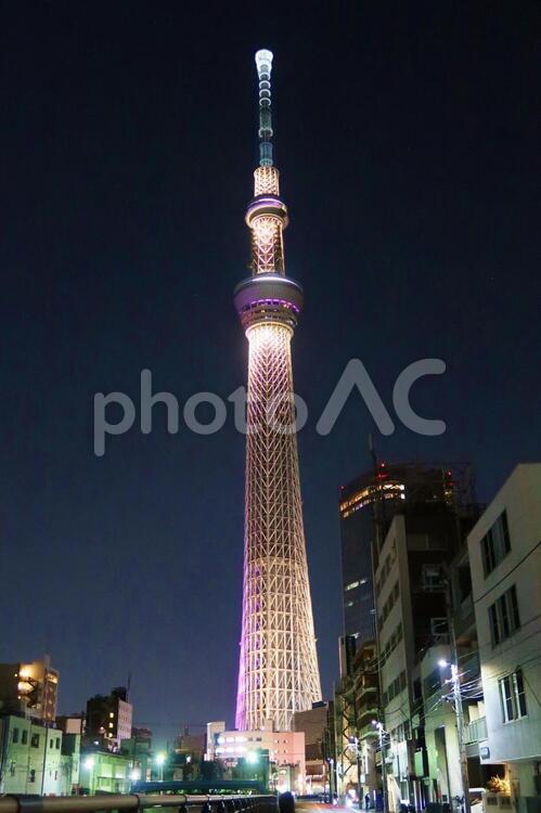 墨田区から見たスカイツリー1 東京スカイツリー,スカイツリー,ライトアップの写真素材