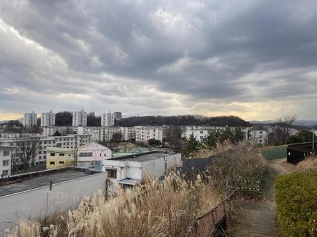 多摩ニュータウンの団地を見下ろす 多摩ニュータウンの団地を見下ろすの写真