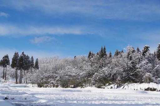 雪景色 雪景色 雪景色,冬,雪の写真素材