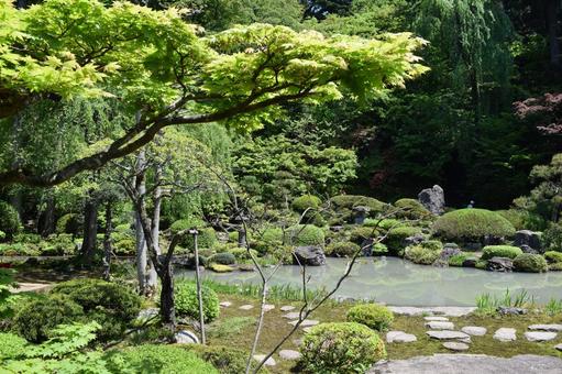 玉川寺庭園 国指定文化財 山形県鶴岡市 玉川寺庭園,玉川寺,ぎょくせんじの写真素材