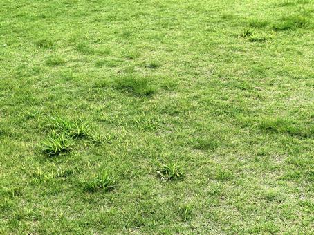 grassland, JPG grassland, JPG