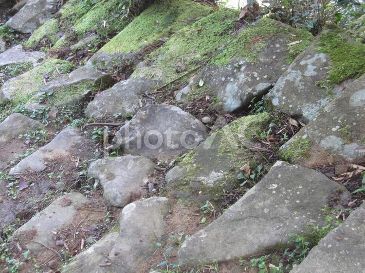 熊野古道　石段 熊野古道,石段,田辺の写真素材