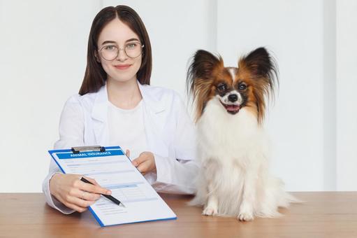 ペットと女性、記入された用紙 医療,予防,医者の写真素材