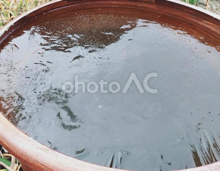 真冬の庭の氷 氷,表面,水の写真素材