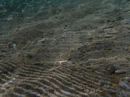 砂地の海 砂地の海の写真