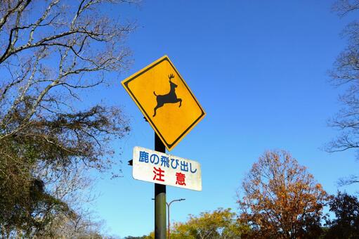 鹿の飛び出し注意標識　道路標識看板　奈良 鹿の飛び出し注意,鹿,注意の写真素材