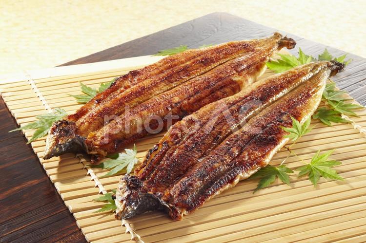 うなぎの蒲焼き うなぎの蒲焼き,うなぎ,うなぎ蒲焼きの写真素材