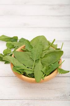 サラダほうれん草 サラダほうれん草,ほうれん草,野菜の写真素材