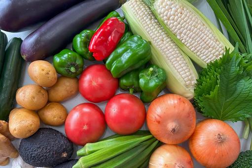 Colorful! Assortment of summer vegetables from Itoshima (horizontal), JPG Colorful! Assortment of summer vegetables from Itoshima (horizontal), JPG