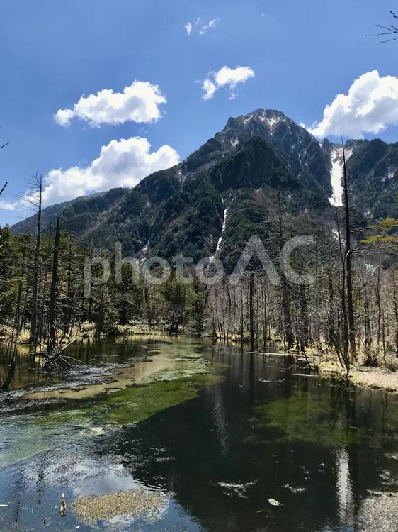 心落ち着く上高地の風景 上高地,自然,ハイキングの写真素材