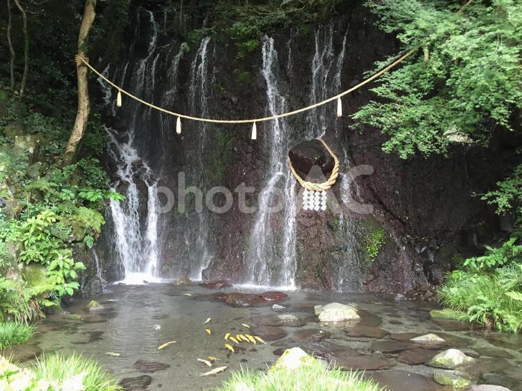 玉簾神社の滝 水域,自然,滝の写真素材