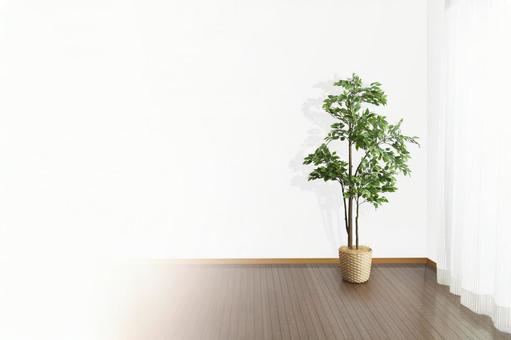 観葉植物だけがある広い部屋 観葉植物だけがある広い部屋 部屋,孤独,観葉植物の写真素材