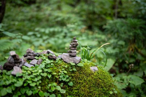 苔と石灯籠 苔と石灯籠 石,灯籠,詰むの写真素材