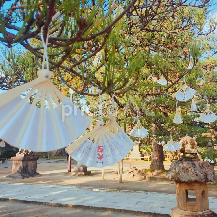 京都天橋立　扇子おみくじ おみくじ,京都,天橋立の写真素材