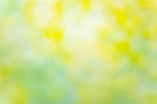 黄緑色のぼかし背景テクスチャ 黄緑色のぼかし背景テクスチャ 背景,テクスチャ,模様の写真素材