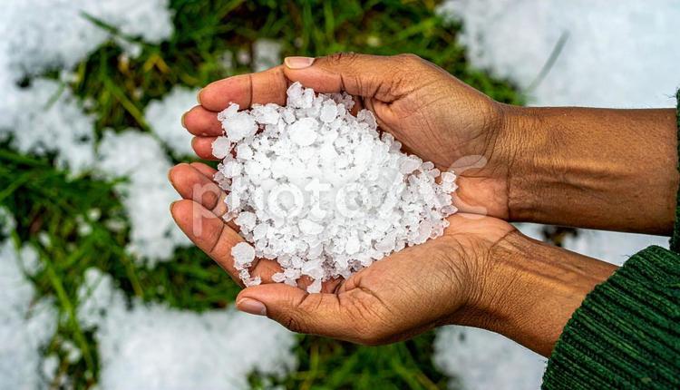 降ってきた大きな雹を手に取る 気象現象,雪あられ,気象の写真素材