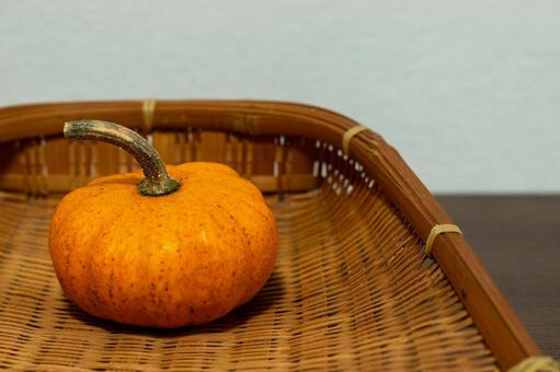 カボチャ パンプキン,南瓜,カボチャ属の写真素材